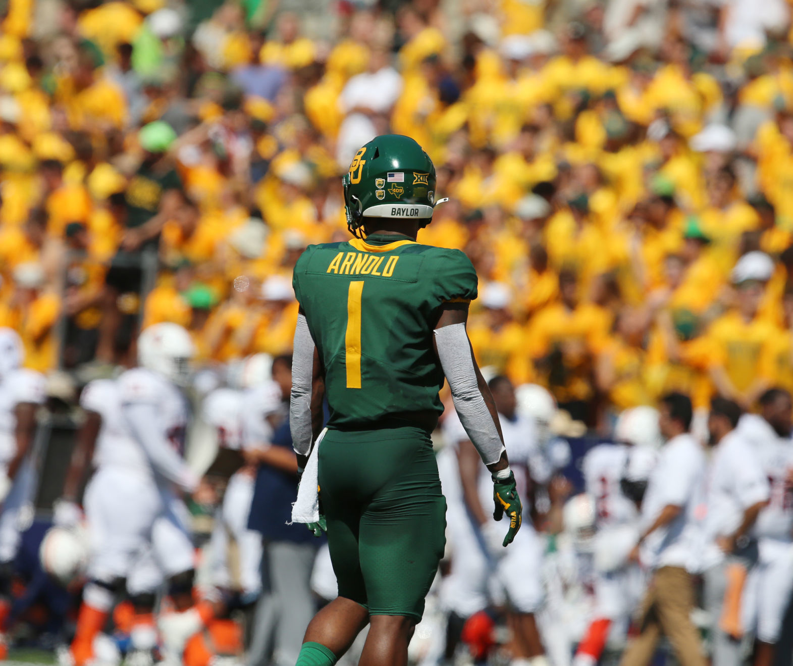 Baylor Arnold